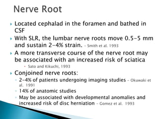  Located cephalad in the foramen and bathed in
CSF
 With SLR, the lumbar nerve roots move 0.5-5 mm
and sustain 2-4% strain. – Smith et al. 1993
 A more transverse course of the nerve root may
be associated with an increased risk of sciatica
 Sato and Kikuchi, 1993
 Conjoined nerve roots:
◦ 2-4% of patients undergoing imaging studies - Okuwaki et
al. 1991
◦ 14% of anatomic studies
◦ May be associated with developmental anomalies and
increased risk of disc herniation - Gomez et al. 1993
 
