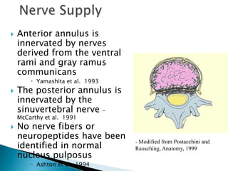  Anterior annulus is
innervated by nerves
derived from the ventral
rami and gray ramus
communicans
 Yamashita et al. 1993
 The posterior annulus is
innervated by the
sinuvertebral nerve –
McCarthy et al. 1991
 No nerve fibers or
neuropeptides have been
identified in normal
nucleus pulposus
 Ashton et al. 1994
- Modified from Postacchini and
Rausching, Anatomy, 1999
 