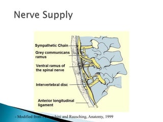 - Modified from Postacchini and Rausching, Anatomy, 1999
 