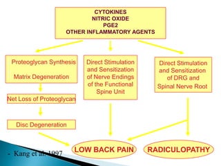 Proteoglycan Synthesis
Matrix Degeneration
Direct Stimulation
and Sensitization
of DRG and
Spinal Nerve Root
Net Loss of Proteoglycan
Disc Degeneration
LOW BACK PAIN RADICULOPATHY
CYTOKINES
NITRIC OXIDE
PGE2
OTHER INFLAMMATORY AGENTS
Direct Stimulation
and Sensitization
of Nerve Endings
of the Functional
Spine Unit
- Kang et al. 1997
 