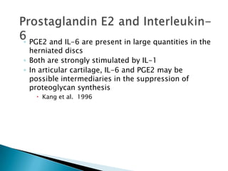 ◦ PGE2 and IL-6 are present in large quantities in the
herniated discs
◦ Both are strongly stimulated by IL-1
◦ In articular cartilage, IL-6 and PGE2 may be
possible intermediaries in the suppression of
proteoglycan synthesis
 Kang et al. 1996
 