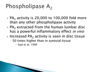  PA2 activity is 20,000 to 100,000 fold more
than any other phospholipase activity
 PA2 extracted from the human lumbar disc
has a powerful inflammatory effect in vivo
 Increased PA2 activity is seen in disc tissue
◦ 50 times higher than in synovial tissue
 Saal et al. 1990
 