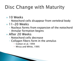  10 Weeks
◦ Notochord cells disappear from vertebral body
 11-20 Weeks
◦ Nucleus forms from expansion of the notochord
◦ Annular formation begins
 After 20 Weeks
◦ Notochord cells decrease
◦ Collagen fibers form in the annulus
 Cotton et al. 1994
 Mirza and White, 1995
 