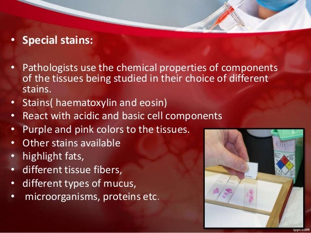 Pathology visual data 5