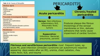 Patho slide 9 Pancarditis pathology robbins.pptx