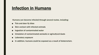 Infection in Humans
Humans can become infected through several routes, including:
■ Tick and deer fly bites
■ Skin contact with infected animals
■ Ingestion of contaminated water
■ Inhalation of contaminated aerosols or agricultural dusts
■ Laboratory exposure
■ In addition, humans could be exposed as a result of bioterrorism.
 