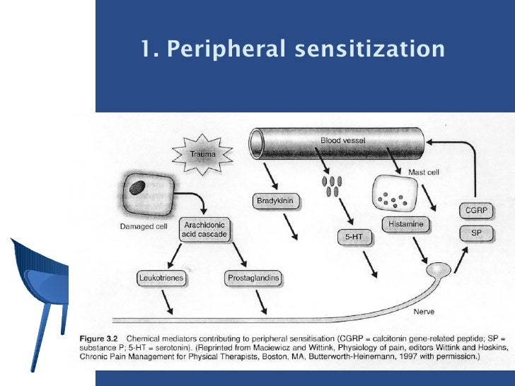 Pain Science In Practice : Peripheral Sensitization – NQUXSK