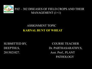 P PAT – 302 DISEASES OF FIELD CROPS AND THEIR
MANAGEMENT (1+1)
ASSIGNMENT TOPIC
KARNAL BUNT OF WHEAT
SUBMITTED BY, COURSE TEACHER
DEEPTHI.S, Dr. PARTHASARATHY.S,
2015021027. Asst. Prof., PLANT
PATHOLOGY
 