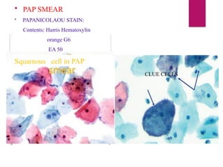 Pap smear and IHC
 PAP SMEAR
 PAPANICOLAOU STAIN:
Contents: Harris Hematoxylin
orange G6
EA 50
CLUE CELLS
Squamous cell in PAP
 