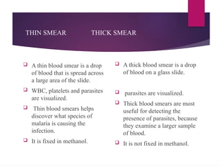 THIN SMEAR THICK SMEAR
 A thin blood smear is a drop
of blood that is spread across
a large area of the slide.
 WBC, platelets and parasites
are visualized.
 Thin blood smears helps
discover what species of
malaria is causing the
infection.
 It is fixed in methanol.
 A thick blood smear is a drop
of blood on a glass slide.
 parasites are visualized.
 Thick blood smears are most
useful for detecting the
presence of parasites, because
they examine a larger sample
of blood.
 It is not fixed in methanol.
 