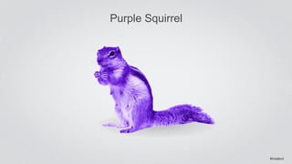 Purple Squirrel 
Remove 
Fulbright Scholar 
122 
#intalent 
 