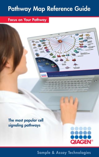 Pathway Map Reference Guide
Attention-grabber
Focus on Your Pathway

The most popular cell
signaling pathways

Sample & Assay Technologies

 