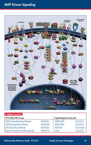 Pathway map-reference-guide | PDF