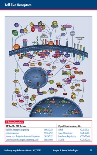 Pathway map-reference-guide | PDF