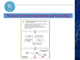 De novo Network Construction and Clustering
 