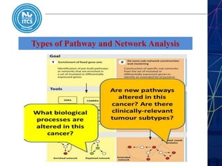 Types of Pathway and Network Analysis
 