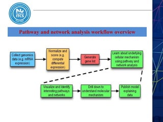 Pathway and network analysis workflow overview
 