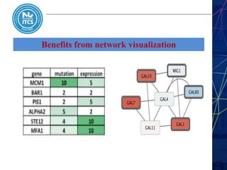 Benefits from network visualization
 