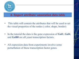 4- Import attribute/ annotation data table
• This table will contain the attributes that will be used to set
the visual properties of the nodes ( color, shape, border)
• In the tutorial the data is the gene expression of Gal1, Gal4,
and Gal80 are all yeast transcription factors.
• All expression data from experiments involve some
perturbation of these transcription factor genes.
 