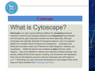 Cytoscape
 