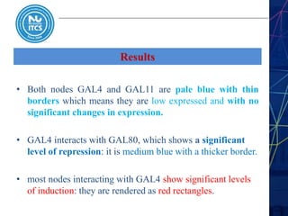 Results
• Both nodes GAL4 and GAL11 are pale blue with thin
borders which means they are low expressed and with no
significant changes in expression.
• GAL4 interacts with GAL80, which shows a significant
level of repression: it is medium blue with a thicker border.
• most nodes interacting with GAL4 show significant levels
of induction: they are rendered as red rectangles.
 