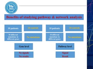 Benefits of studying pathway & network analysis
 