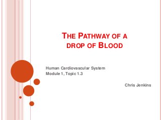 THE PATHWAY OF A
DROP OF BLOOD
Human Cardiovascular System
Module 1, Topic 1.3
Chris Jenkins
 