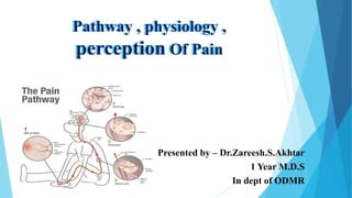 Pathway , physiology ,
perception Of Pain
Pathway , physiology ,
perception Of Pain
Presented by – Dr.Zareesh.S.Akhtar
1 Year M.D.S
In dept of ODMR
 