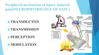 Pathway , physiology , perception of pain | PPTX