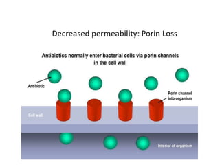 (3) Bacteria decrease their permeability such that an
effective intracellular concentration of the drug is not
achieved; e...