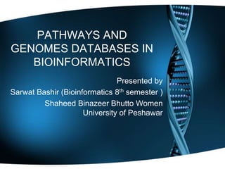 Presented by 
Sarwat Bashir 
(Bioinformatics 8th semester ) 
Shaheed Binazeer Bhutto Women University of Peshawar 
Shaheed Benazir Bhutto University Peshawar 
 