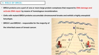 Comprehensive Overview of Cancer Pathways and Genetic Mechanisms | PPTX