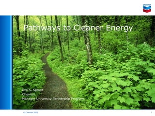 © Chevron 2005 1
Pathways to Cleaner Energy
Eve S. Sprunt
Chevron
Manager University Partnership Program
 