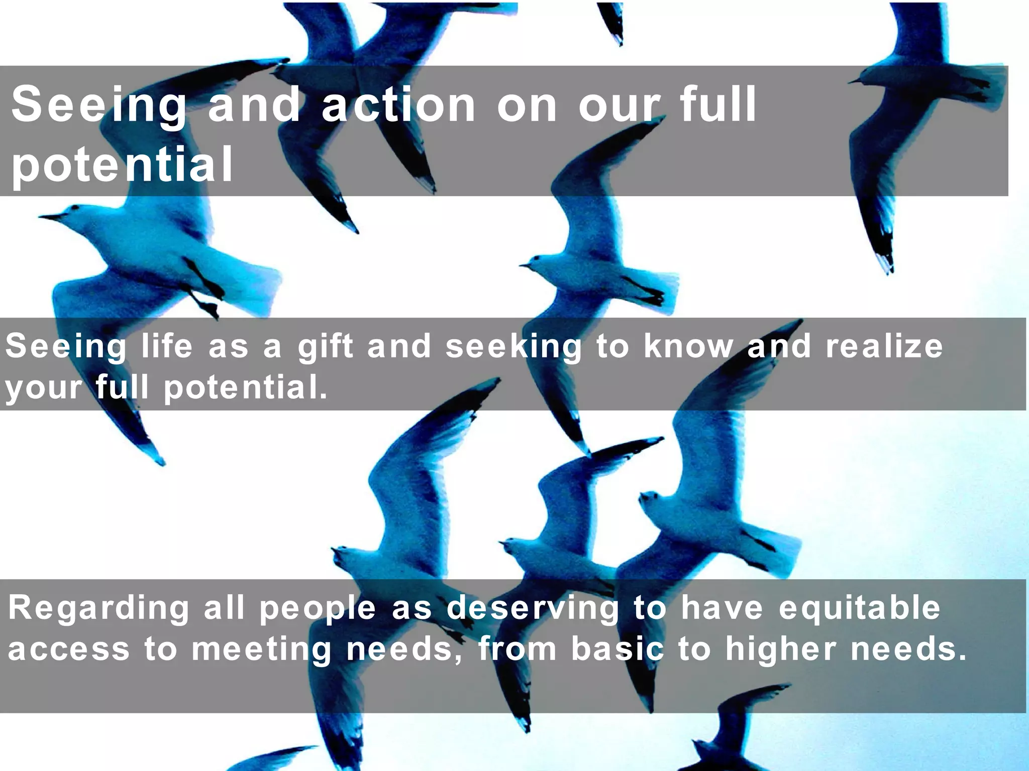 Seeing and action on our full
potential
Seeing life as a gift and seeking to know and realize
your full potential.
Regarding all people as deserving to have equitable
access to meeting needs, from basic to higher needs.
 