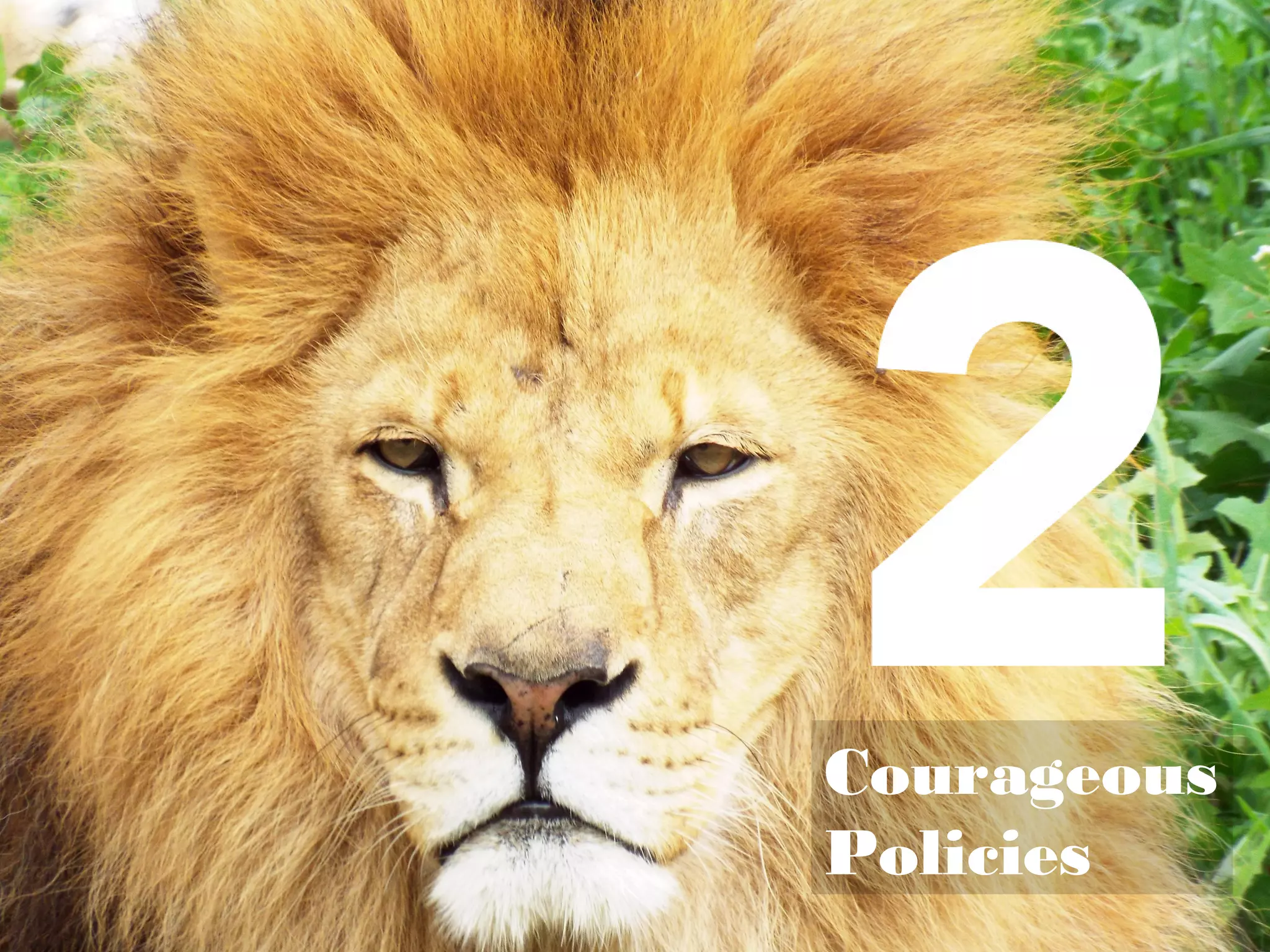 2Courageous
Policies
 