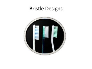 Bristle Designs
 