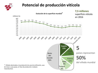 Potencial de producción vitícola
5
países representan
50%
del viñedo mundial
7,8 7,8 7,8 7,8
7,8
7,7 7,7
7,6
7,5 7,5 7,5 7,4 7,5
7,5 7,5 7,5 7,5
7,0
7,1
7,2
7,3
7,4
7,5
7,6
7,7
7,8
7,9
8,0
millones ha
Evolución de la superficie mundial
7,5 millones
superficie vitícola
en 2016
España
13%
China
11%
Francia
11%
Italia
9%
Turquía
6%
Resto
del
mundo
50%
*
* Viñedos destinados a la producción de uvas de vinificación, uvas
de mesa o uvas pasas, en fase de producción o todavía
improductivos
 