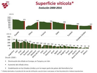 Superficie vitícola*
Evolución 2000-2016
224
223 214 195
191
148 140 130 120 105 102 85 69 68 67 63 48 46 39 32 32
0
100
200
300
400
miles ha
975
847 785
690
480 443
0
200
400
600
800
1000
1200
1400
miles ha
Desde 2000 :
 Disminución de viñedo en Europa, en Turquía y en Irán
 Aumento del viñedo chino
 Estabilización en los Estados Unidos y en la mayor parte de países del Hemisferio Sur
* Viñedos destinados a la producción de uvas de vinificación, uvas de mesa o uvas pasas, en fase de producción o todavía improductivos
 