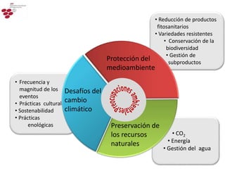 • Reducción de productos
fitosanitarios
• Variedades resistentes
• Conservación de la
biodiversidad
• Gestión de
subproductos
28
• CO2
• Energía
• Gestión del agua
• Frecuencia y
magnitud de los
eventos
• Prácticas culturales
• Sostenabilidad
• Prácticas
enológicas Preservación de
los recursos
naturales
Desafíos del
cambio
climático
Protección del
medioambiente
 