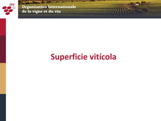 Superficie vitícola
 