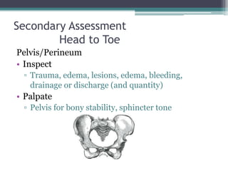 Secondary Assessment	Head to ToePelvis/PerineumInspectTrauma, edema, lesions, edema, bleeding, drainage or discharge (and quantity)Palpate	Pelvis for bony stability, sphincter tone