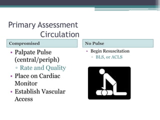 Primary Assessment	Circulation<br />Compromised<br />No Pulse<br />Palpate Pulse (central/periph)<br />Rate and Quality<br...