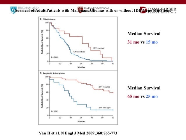 Clinical Trials for Brain Tumor Patients