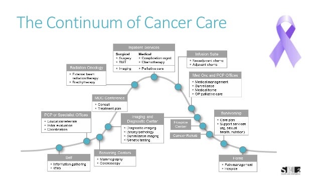 Continuum of care presentation final essay 05 picture
