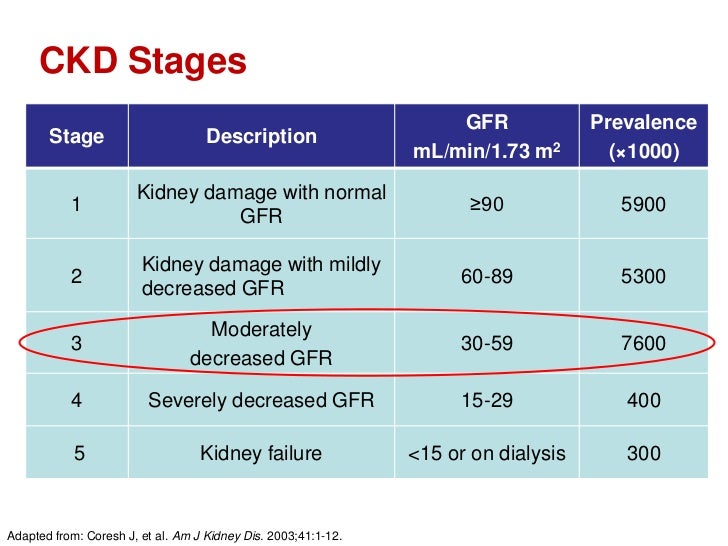 Important Roles for Primary Care Providers in Treating Chronic Kidney…