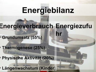 Energiebilanz Energieverbrauch Grundumsatz (55%) Thermogenese (25%) Physische Aktivität (20%) Längenwachstum (Kinder) Energiezufuhr 