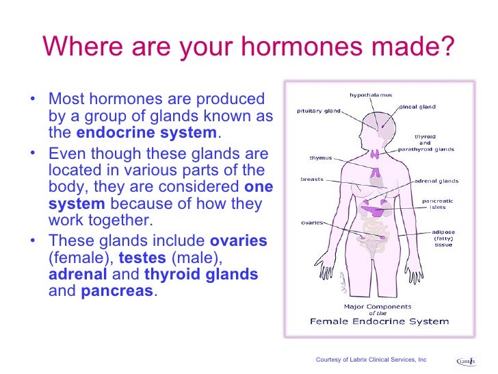 Bioidentical Hormones For Every Woman