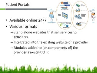 Patient portal: lecture to facilitate discussion of patient portal research  ideas with SAFTINet research team