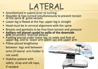 LATERAL
• Anesthetized in supine prior to turning
• Shoulder & hips turned simultaneously to prevent torsion
of the spine & great vessels
• Lower leg is flexed at the hip; upper leg is straight
• Head must be in cervical alignment with the spine
• Breasts and genitalia to be free from torsion and pressure
• Axillary roll placed caudal to axilla of the downside
arm (to protect brachial plexus)
• Padding placed under lower leg, to ankle and foot of
upper leg, and to lower arm (palm up) and upper arm
• Pillow placed lengthwise
between legs and between
arms (if lateral arm holder is
not used)
• Stabilize patient with
safety strap and silk tape,
if needed
 