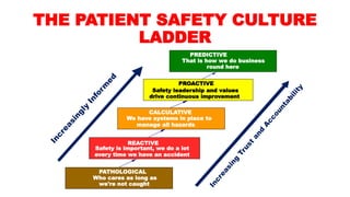 Patient safety culture | PDF